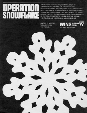 Operation snowflake brochure